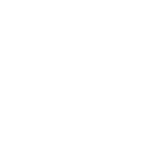 Software Development